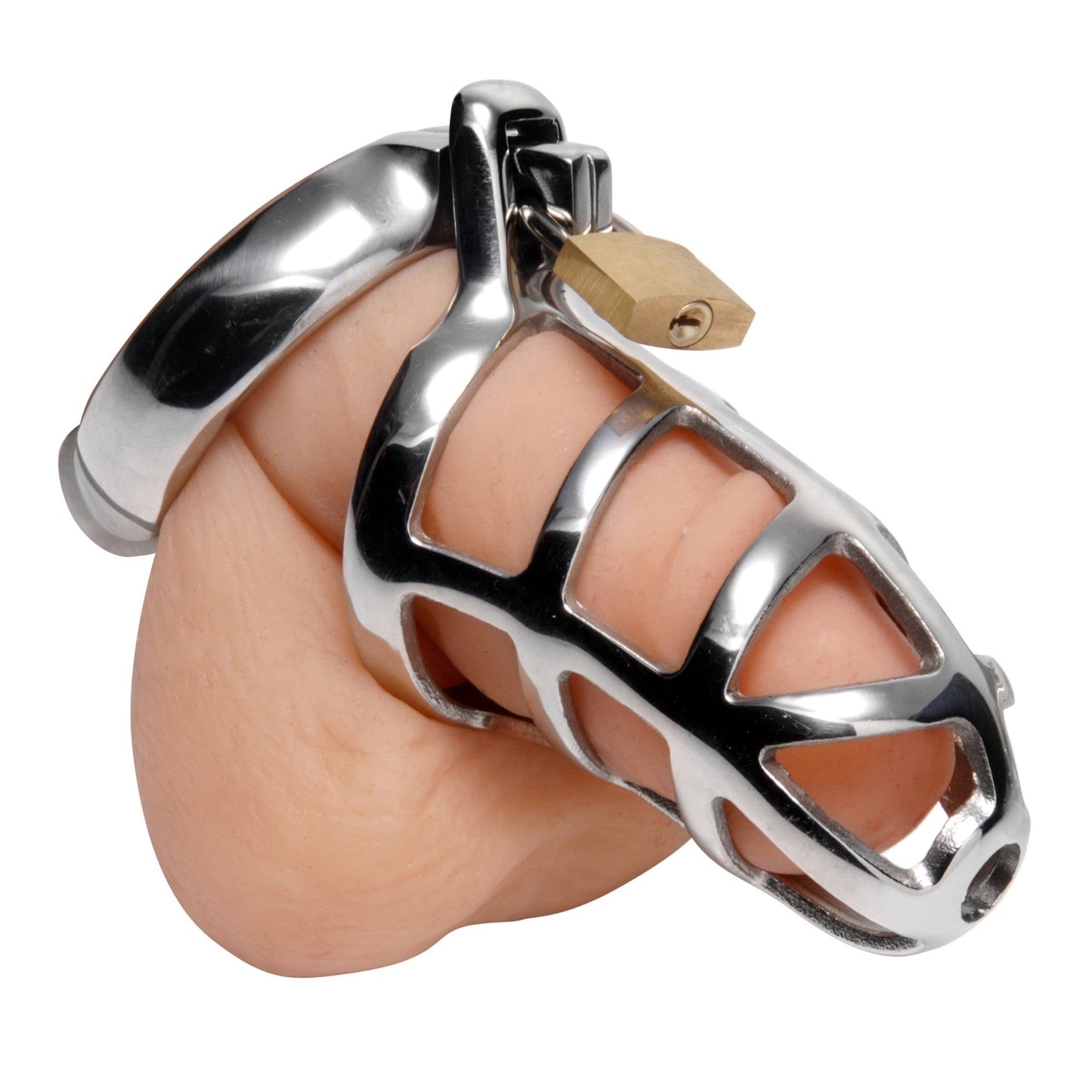 Detained Stainless Steel Chastity Cage - Chastity - The Rabbit Hole Life