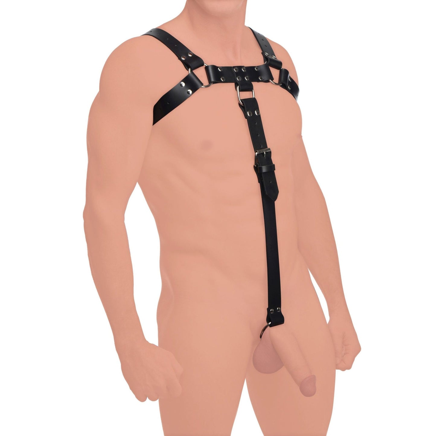 English Bull Dog Harness with Cock Strap - LeatherR - The Rabbit Hole Life