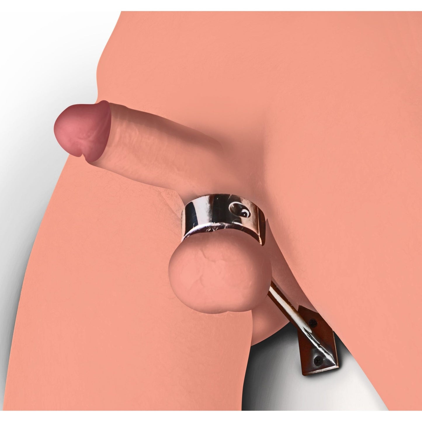 Locking Mounted CBT Scrotum Cuff with Bar - CBT - The Rabbit Hole Life