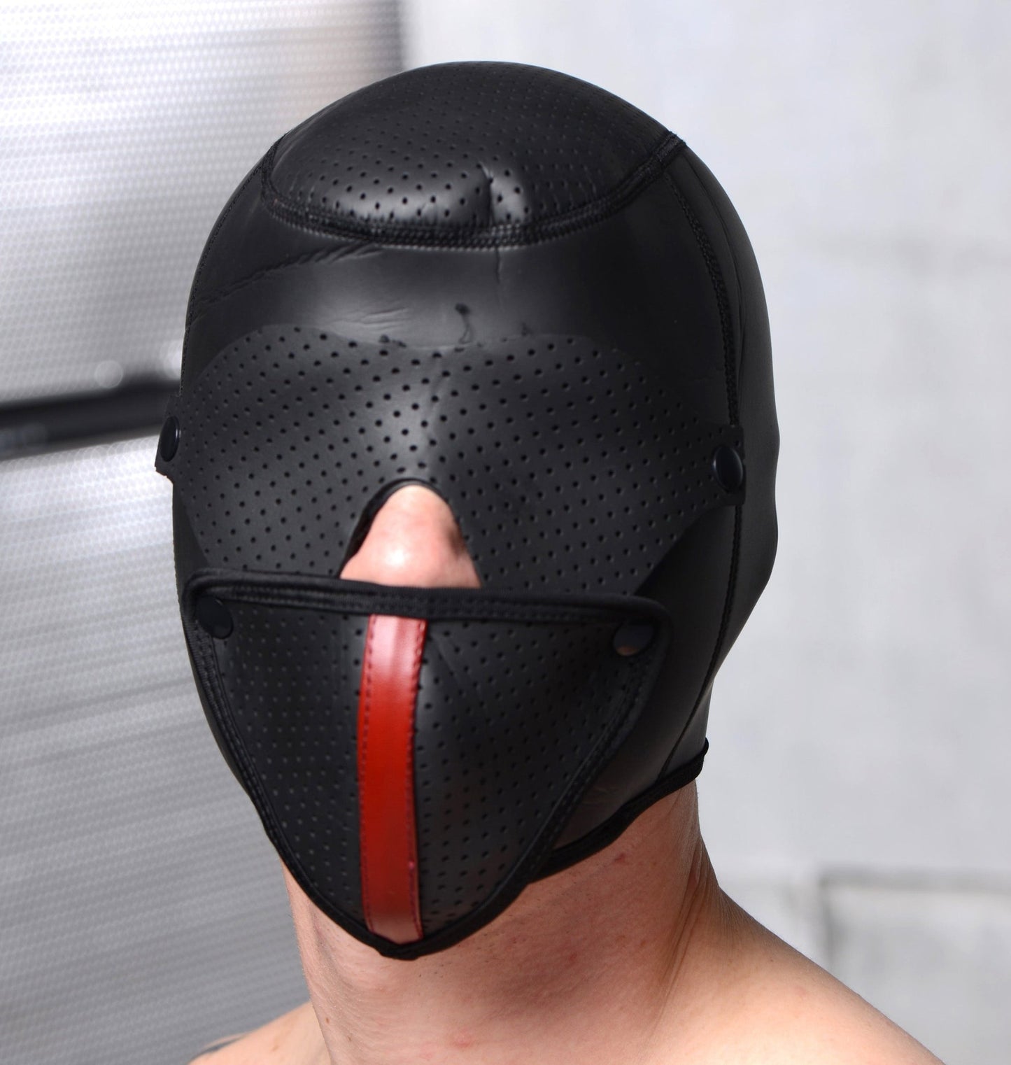 Scorpion Hood With Removable Blindfold and Face Mask - hoods-muzzles - The Rabbit Hole Life