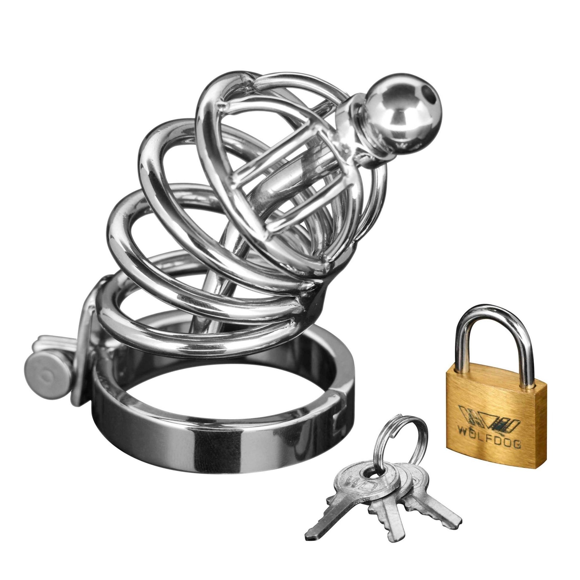 Asylum 6 Ring Locking Chastity Cage - Chastity - The Rabbit Hole Life