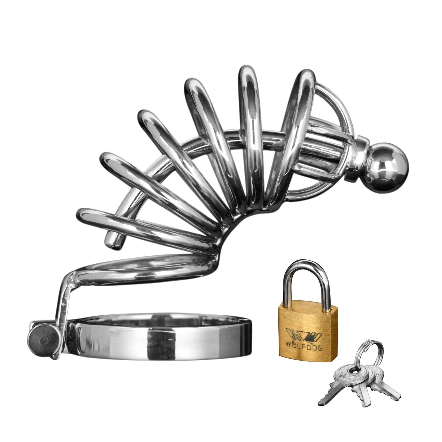 Asylum 6 Ring Locking Chastity Cage - Chastity - The Rabbit Hole Life