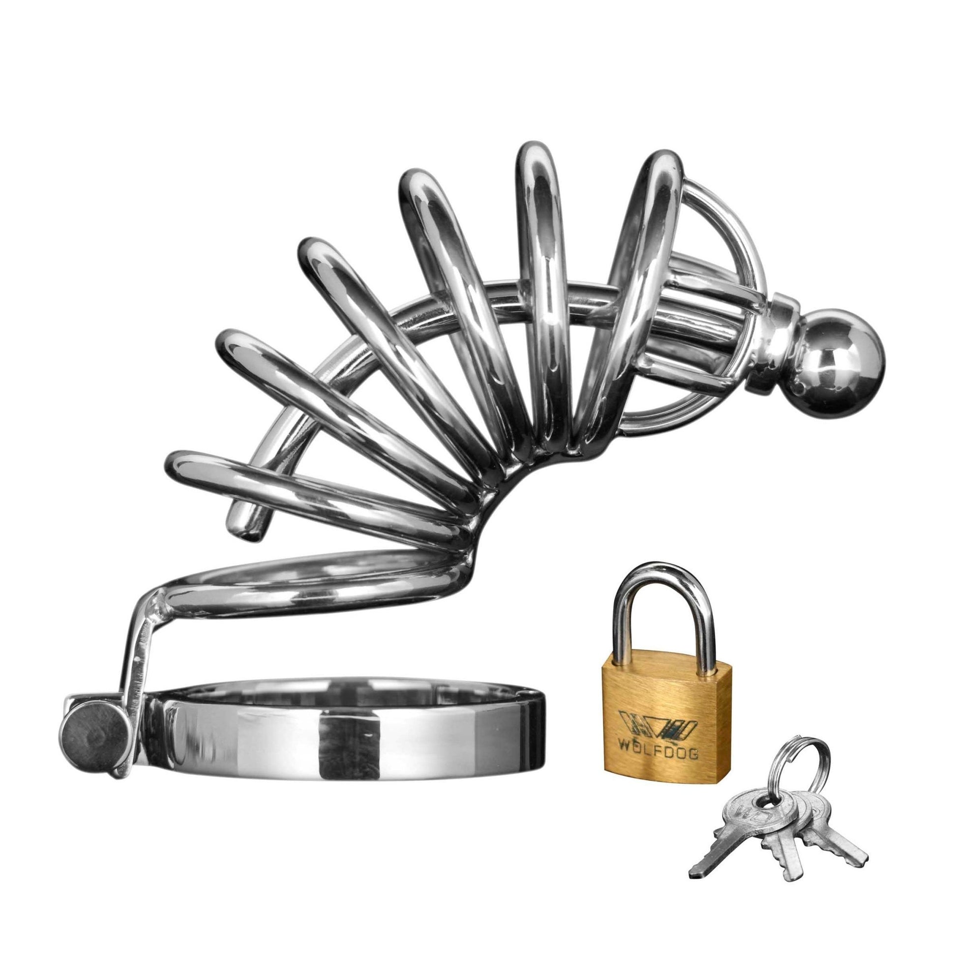 Asylum 6 Ring Locking Chastity Cage - Chastity - The Rabbit Hole Life