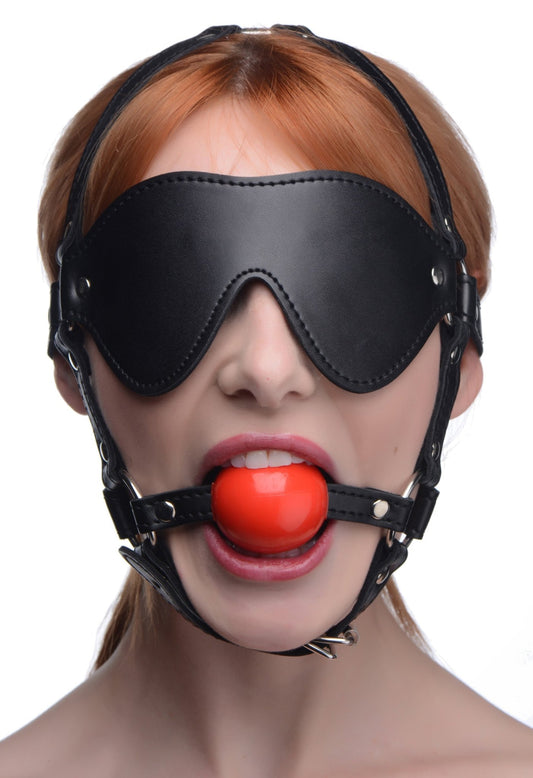 Blindfold Harness and Ball Gag - Hoods - The Rabbit Hole Life