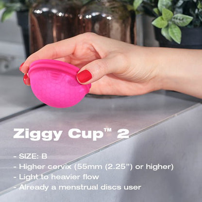 INTIMINA Ziggy Cup 2 Size B - Accessories / Miscellaneous - The Rabbit Hole Life