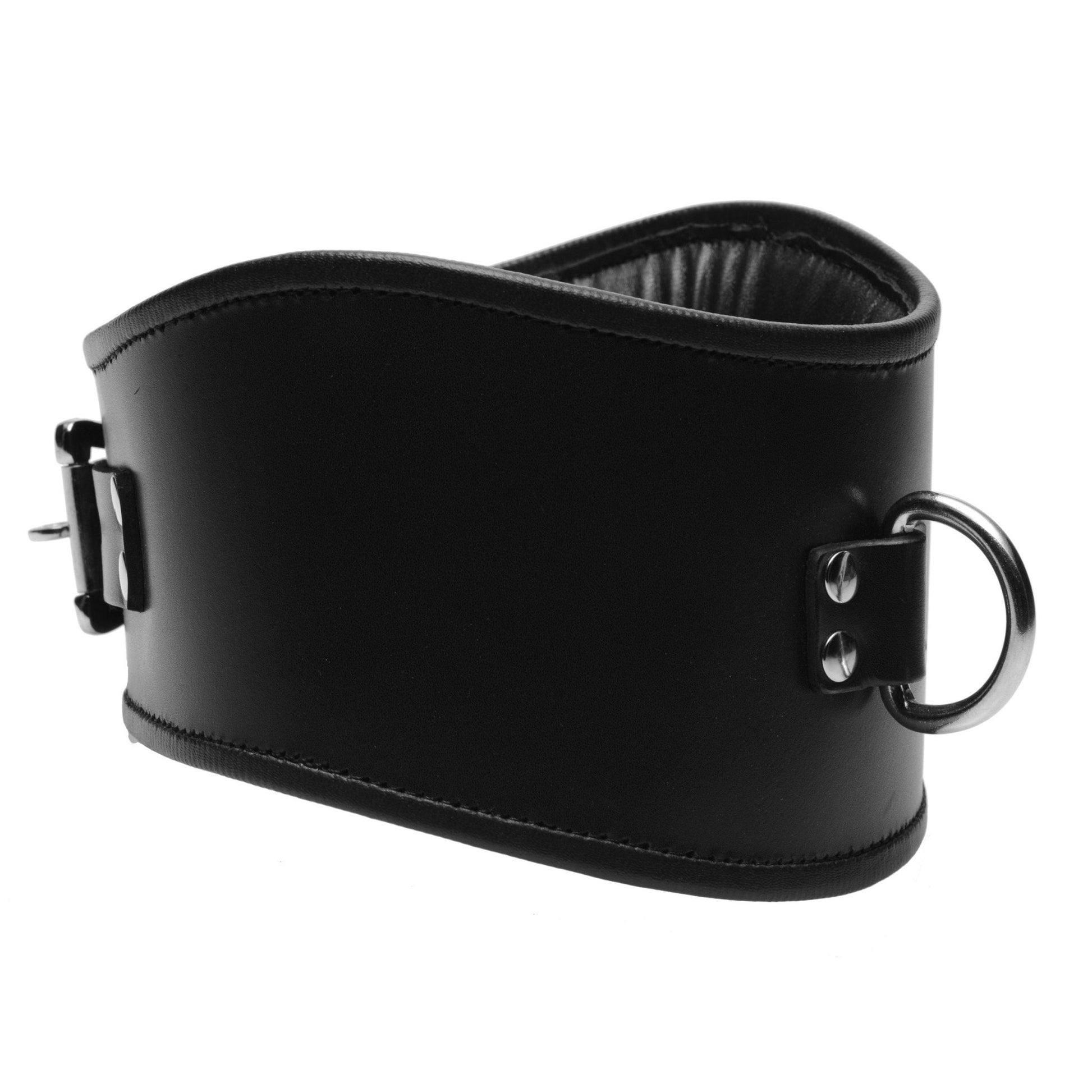 Padded Leather Locking Posture Collar - LeatherR - The Rabbit Hole Life