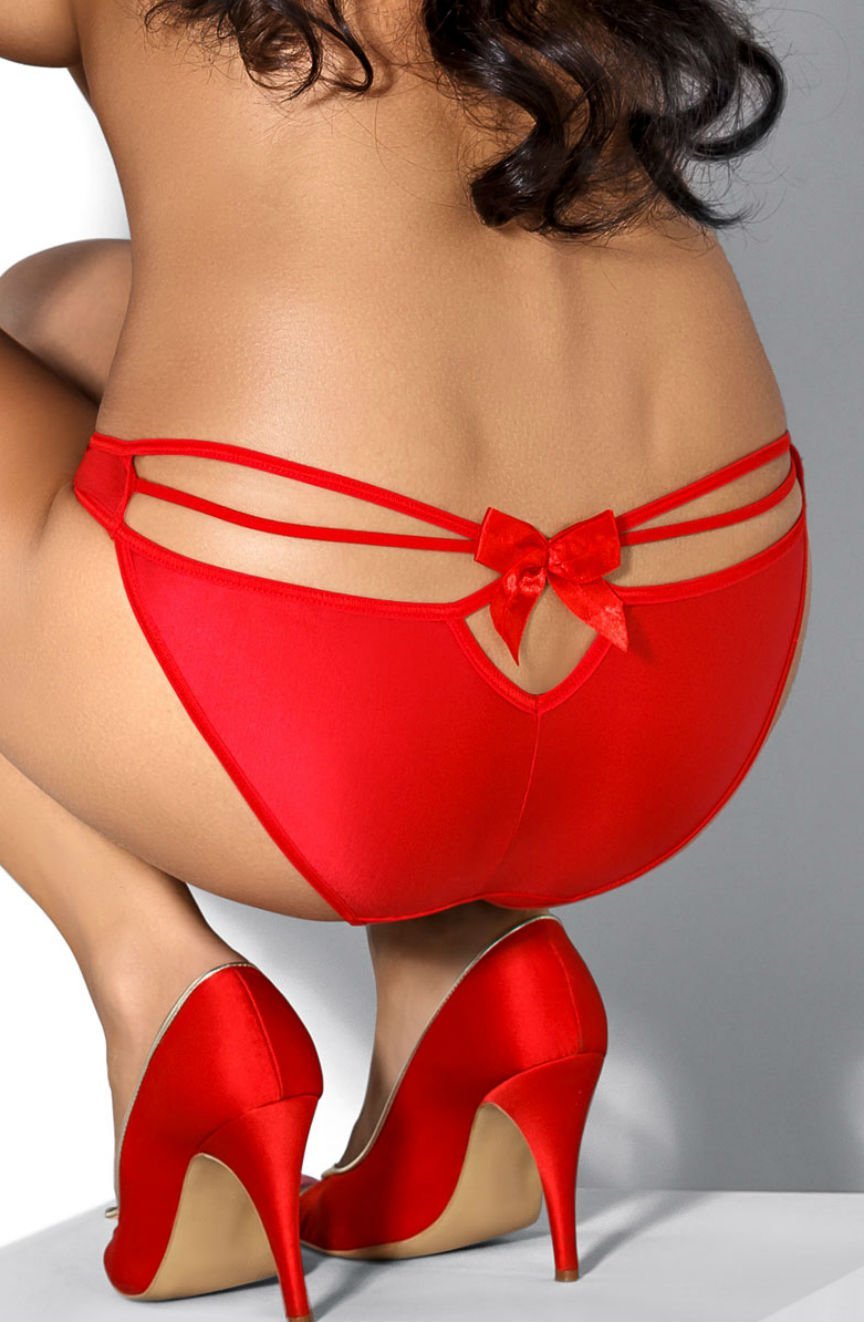 Roza Mimi Brief Red - The Rabbit Hole Life