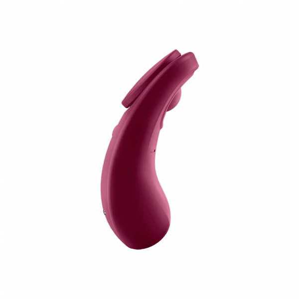 Satisfyer Sexy Secret - Wine Red - Other - The Rabbit Hole Life