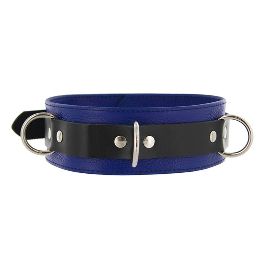 Strict Leather Deluxe Locking Collar - and Black - LeatherR - The Rabbit Hole Life